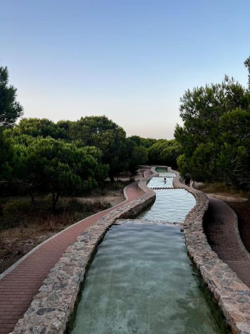 Apartament Viajeros Vinamar VII La Mata  Ngoại thất bức ảnh